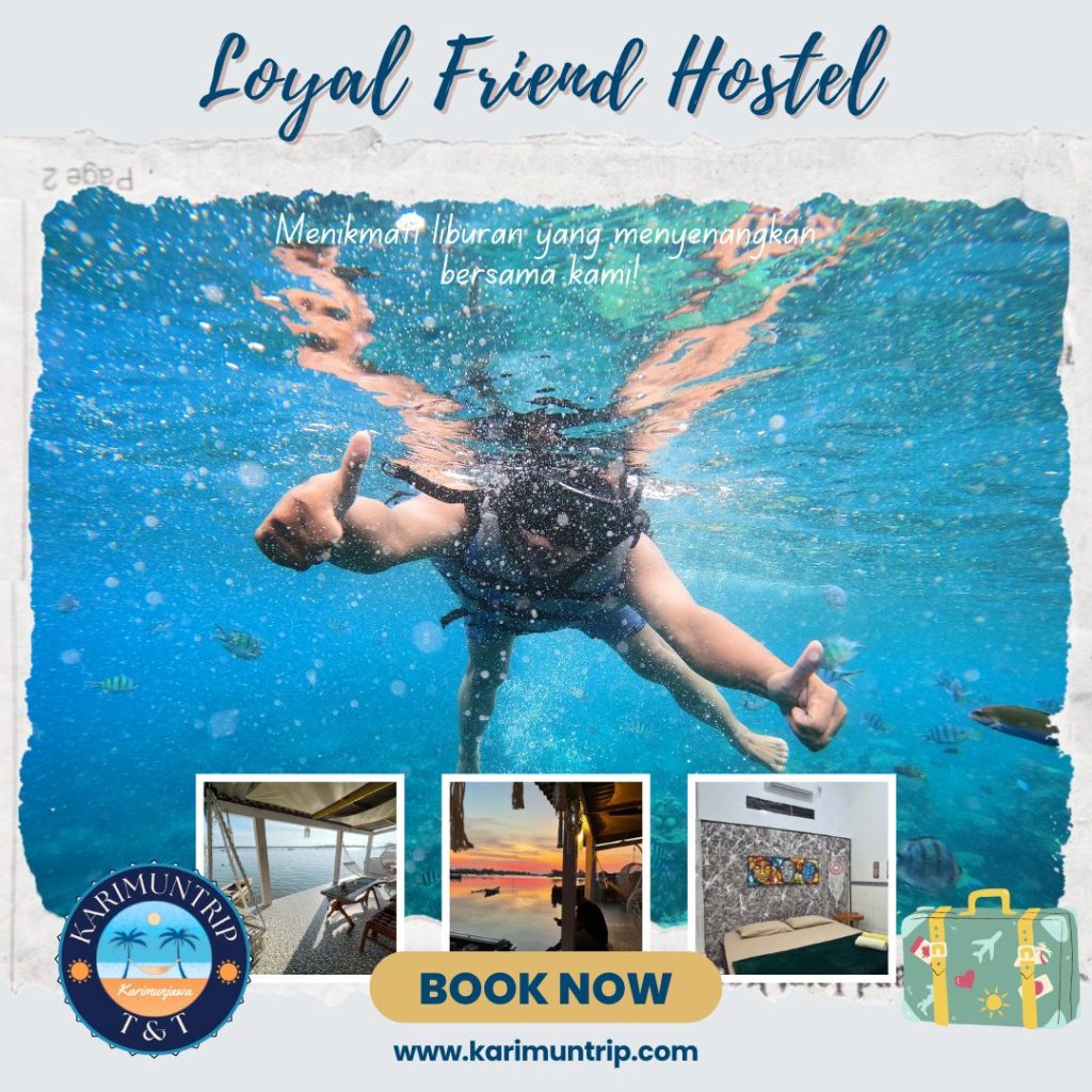 loyal friend hostel